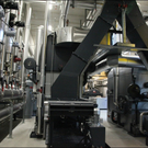 koe_biow__rme _54_.jpg