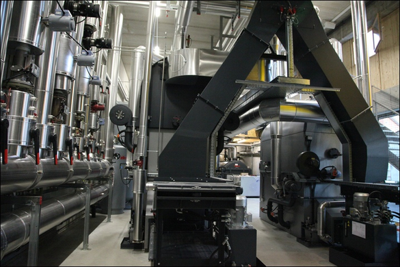 koe_biow__rme _54_.jpg