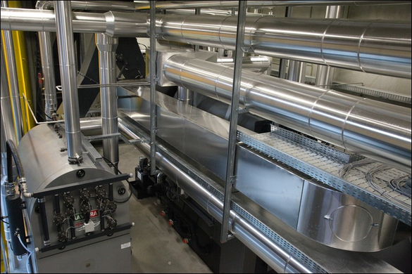 koe_biow__rme _59_.jpg