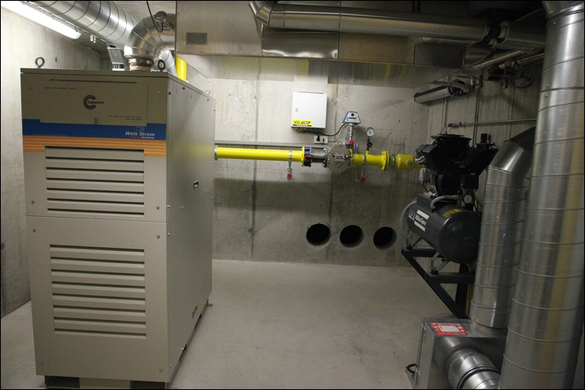koe_biow__rme _62_.jpg