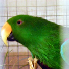 107_5840_jpg-1289860960