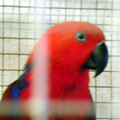 107_5842_jpg-1289860963