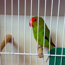 107_5878_jpg-1289861005