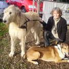 P1011368_JPG-1289891599