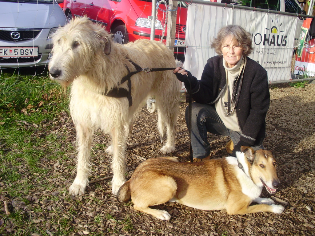 P1011368_JPG-1289891599