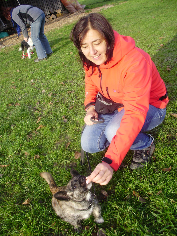 P1011372_JPG-1289891607