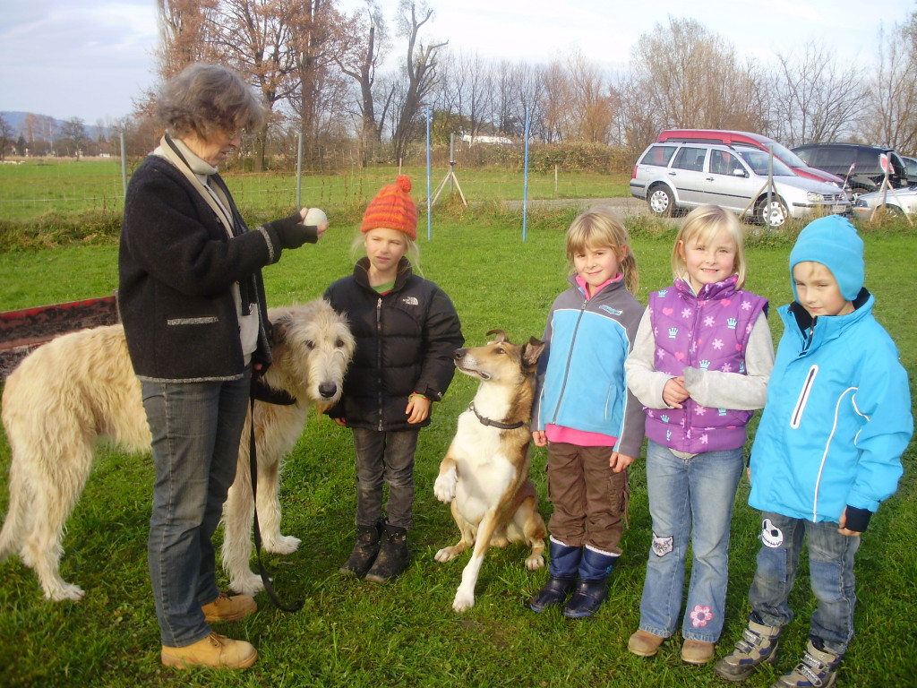 P1011376_JPG-1289891632