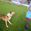 P1011378_JPG-1289891640