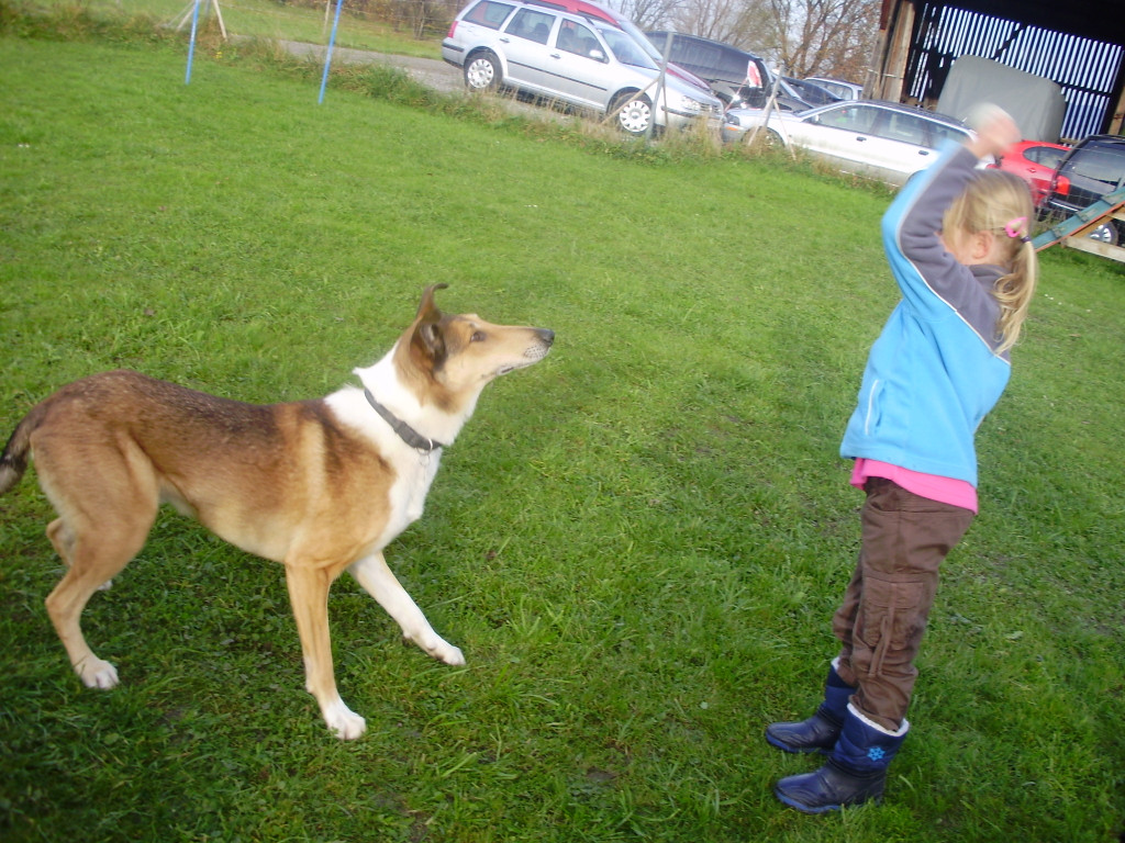 P1011378_JPG-1289891640