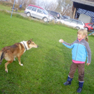 P1011379_JPG-1289891651