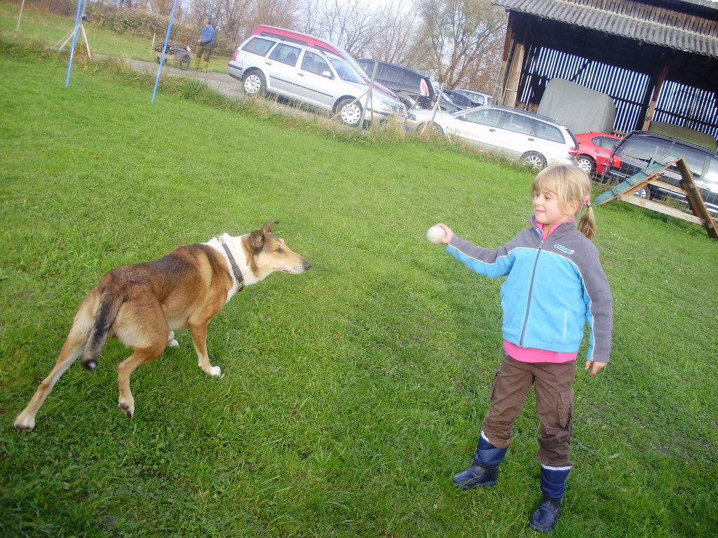 P1011379_JPG-1289891651