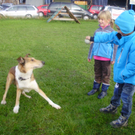 P1011381_JPG-1289891660