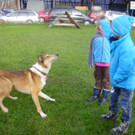 P1011382_JPG-1289891668