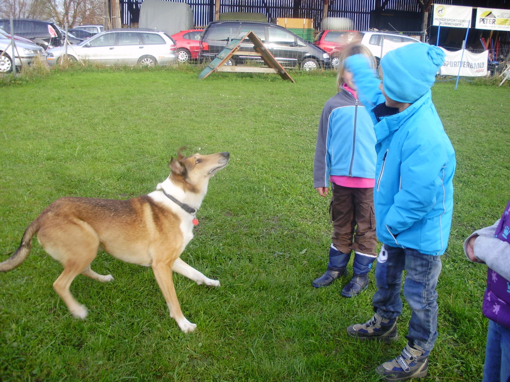 P1011382_JPG-1289891668