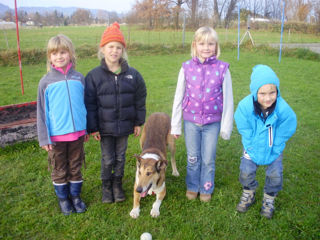 P1011389_JPG-1289891685