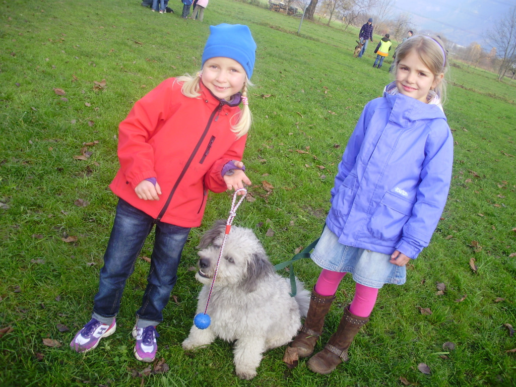 P1011393_JPG-1289891712