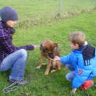 P1011402_JPG-1289891738