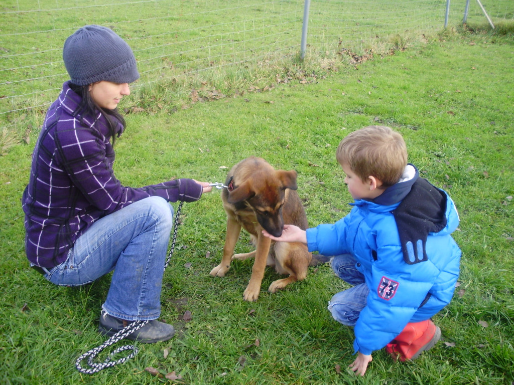 P1011402_JPG-1289891738