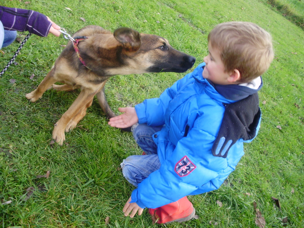 P1011403_JPG-1289891747