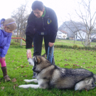 P1011404_JPG-1289891756