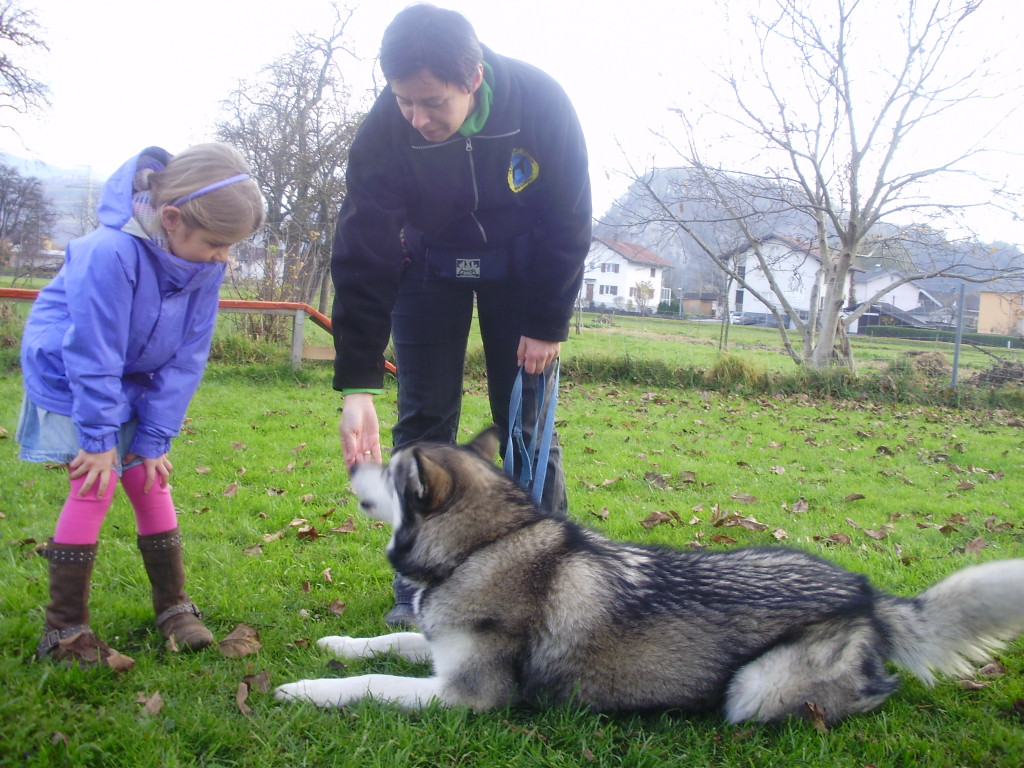 P1011404_JPG-1289891756