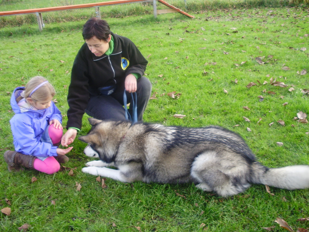 P1011405_JPG-1289891764