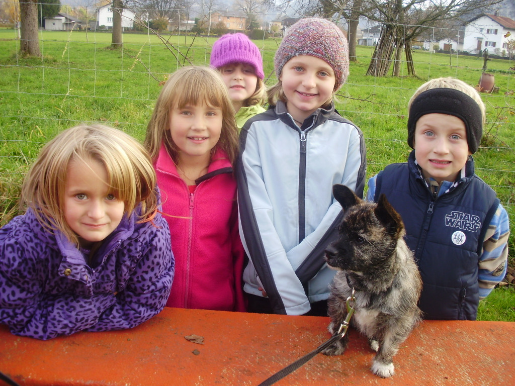 P1011409_JPG-1289891773