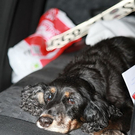 Die Bilder zum Unfall