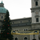 IMG_8698.JPG