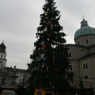 IMG_8735.JPG