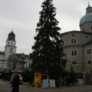 IMG_8737.JPG