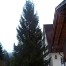Bilder