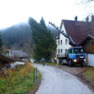 P1000693_jpg-1290096212