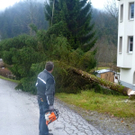 P1000696_jpg-1290096221