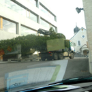 P1000699_jpg-1290096227