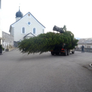 P1000700_jpg-1290096230