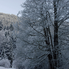 011_bearbeitet-1_jpg-1290098083