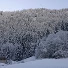 013_bearbeitet-1_jpg-1290098125