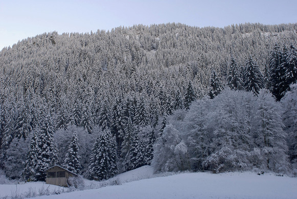 013_bearbeitet-1_jpg-1290098125