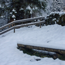 016_bearbeitet-1_jpg-1290098166