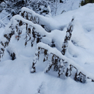 022_bearbeitet-1_jpg-1290098217