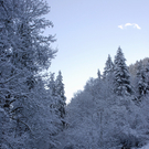 025_bearbeitet-1_jpg-1290098287
