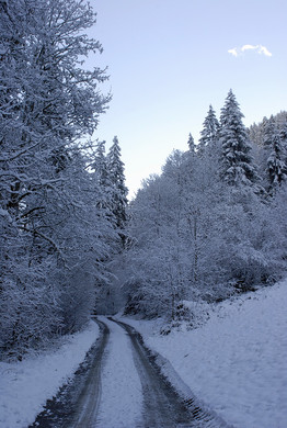 025_bearbeitet-1_jpg-1290098287