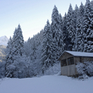 036_bearbeitet-1_jpg-1290098480