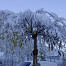 086_bearbeitet-1_jpg-1290098849