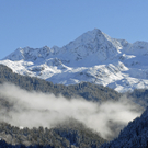 154_bearbeitet-1_jpg-1290099553