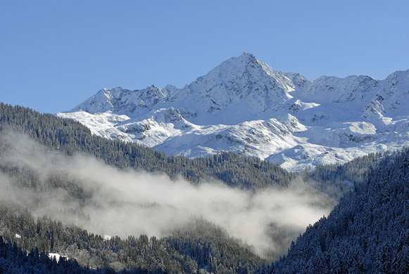 154_bearbeitet-1_jpg-1290099553