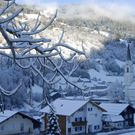 159_bearbeitet-1_jpg-1290099680