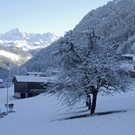 160_bearbeitet-2_jpg-1290099745