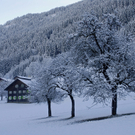 163_bearbeitet-1_jpg-1290099851